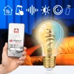 Alpina Smart E27 LED okosizzó