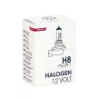 M-Tech H8 halogén izzó 12V - 35W (1db)