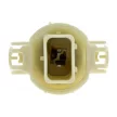 M-Tech halogén izzó - 12V 24W PSX4W PG20