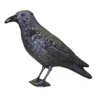 Galambriasztó műanyag varjú