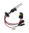 HID H1 4300K 12V - Xenon izzó