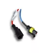 HID H8 4300K 12V - Xenon izzó