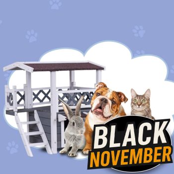 KUTYA, MACSKA ÉS KISÁLLAT